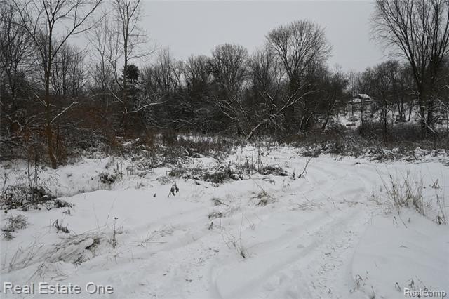 Picture 13
