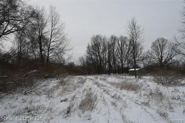 Picture 27