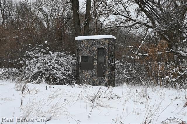 Picture 8