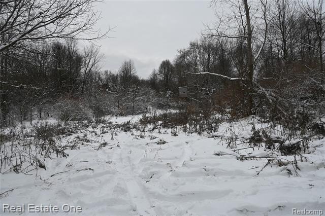 Picture 18