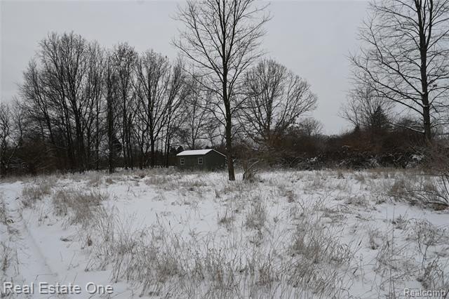 Picture 31