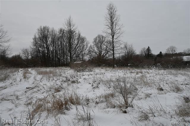 Picture 28