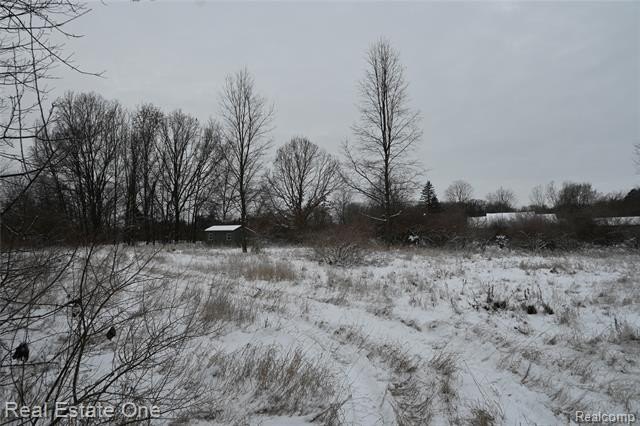 Picture 25