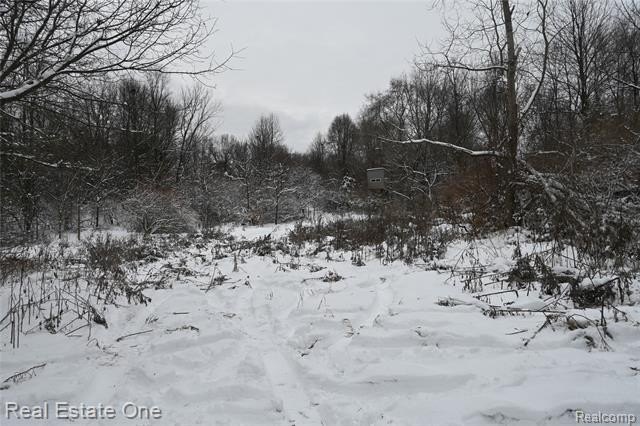 Picture 19