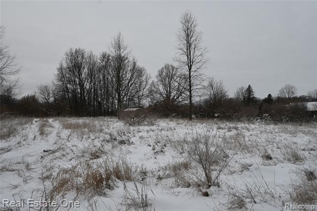 Picture 29