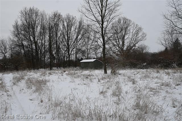 Picture 30