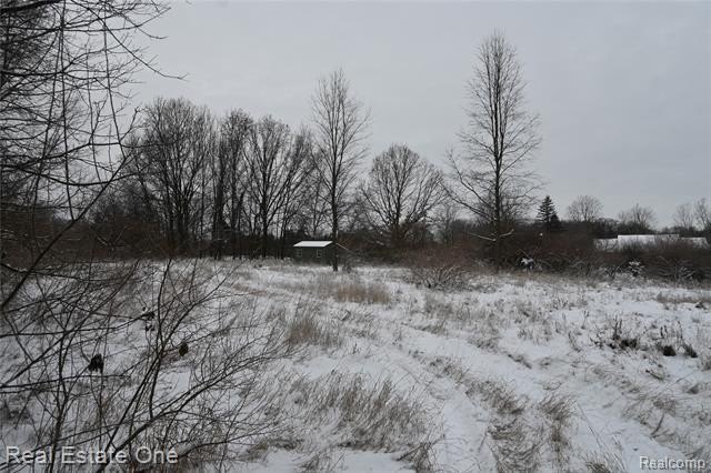 Picture 26