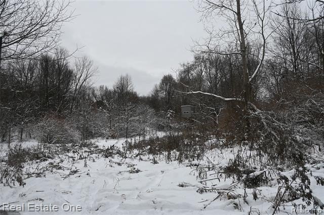 Picture 17