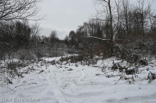 Picture 21