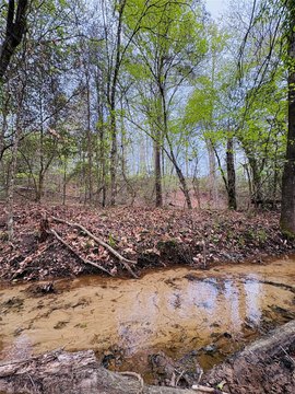 Country Home Site with Stream Bed