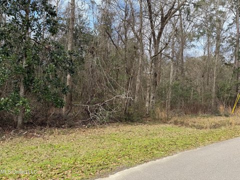 Residential Land in Diamondhead, MS