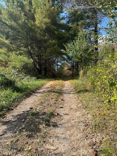 Land Near Bee Creek