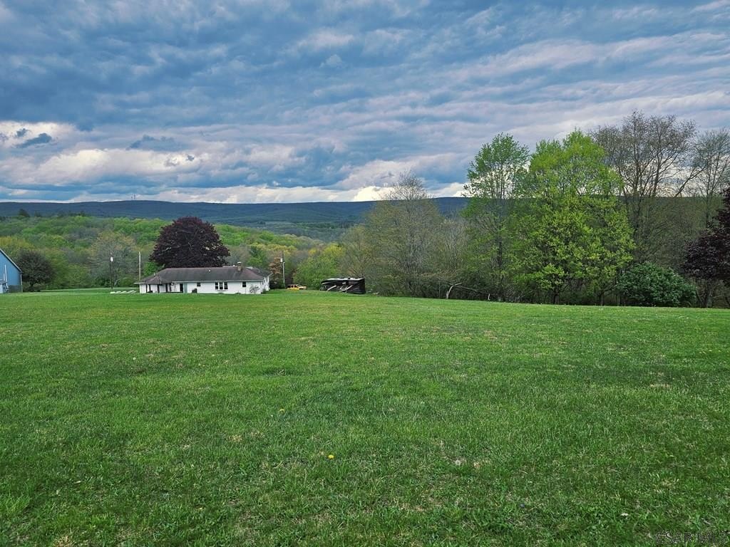 Picture 5