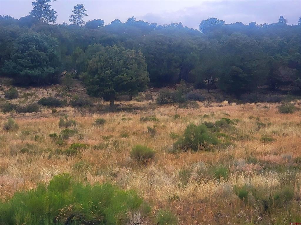 Picture 7