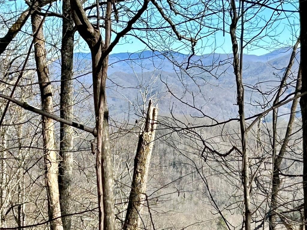 Whittier, NC Wooded Land