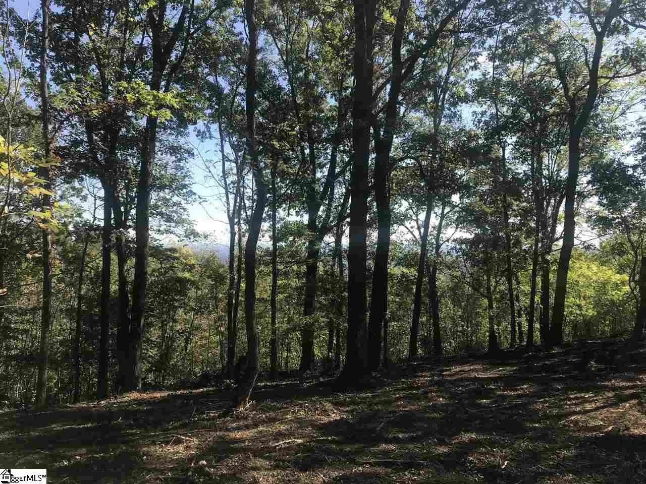 Landrum, SC Homesite with Views