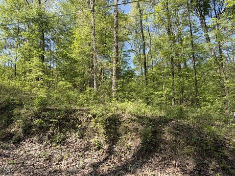 Wooded Residential Lots in Coal