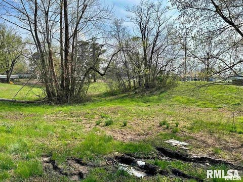 Residential Land in Golconda, IL