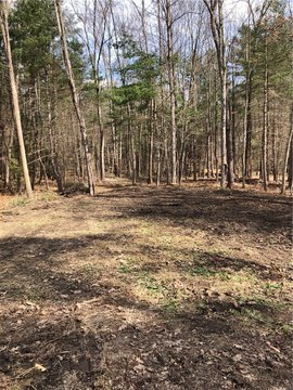 Land, Oneonta, NY