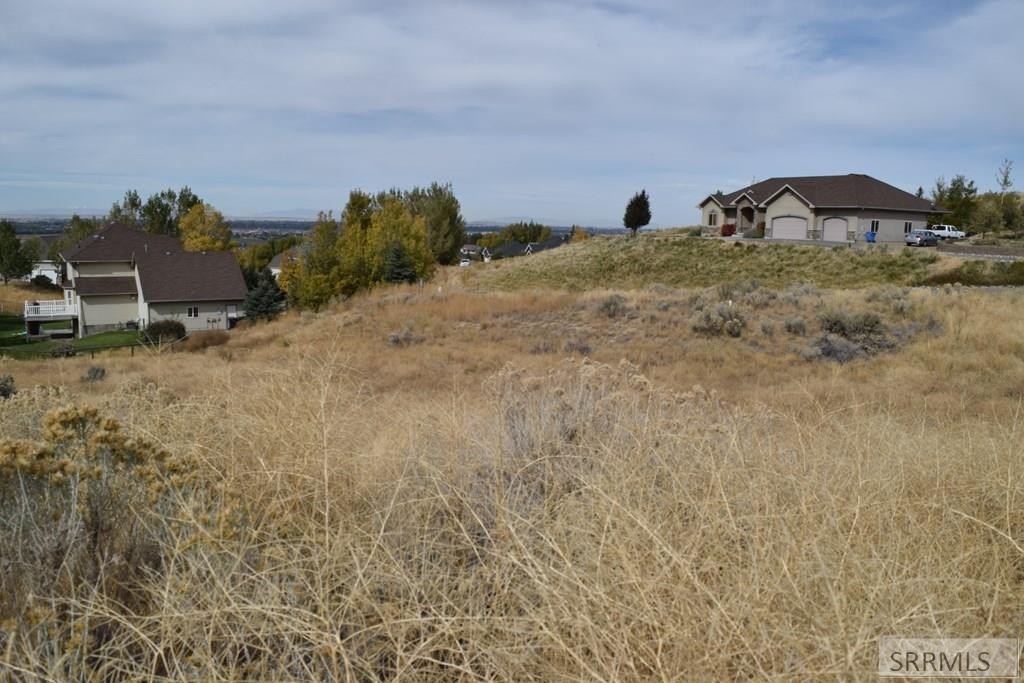 Picture 18