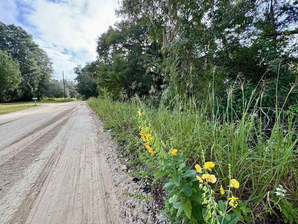 Residential Land in Trenton, Florida