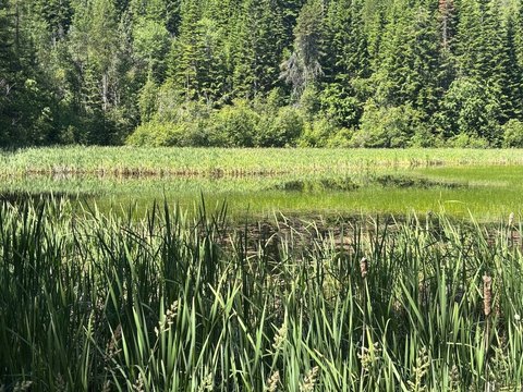 Newport Land with Pond