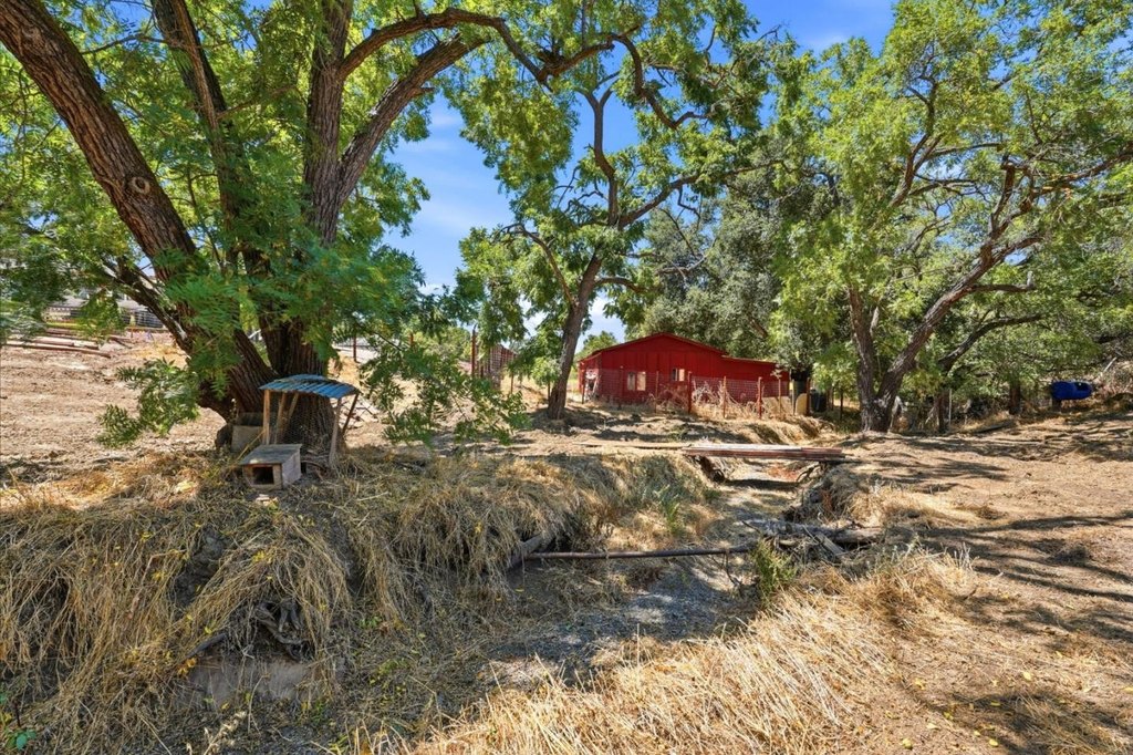 Picture 22