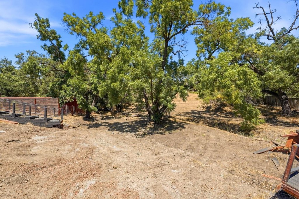 Picture 14