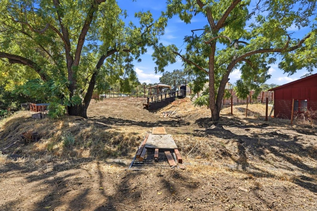 Picture 21