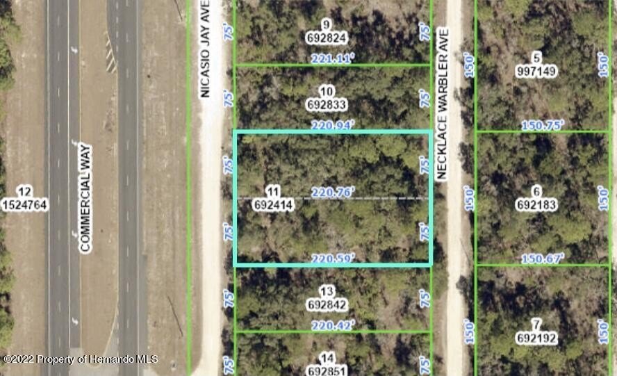Commercial Lot on US 19