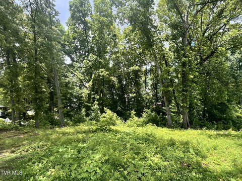 Wooded Lot in Established Neighborhood