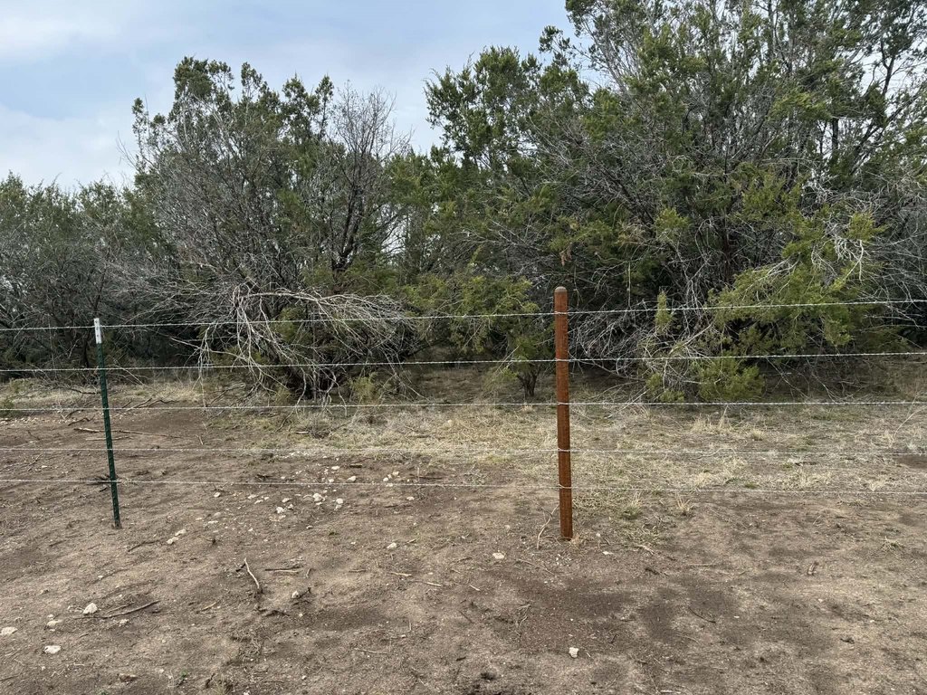 Picture 22