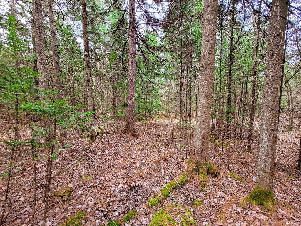 Picture 29