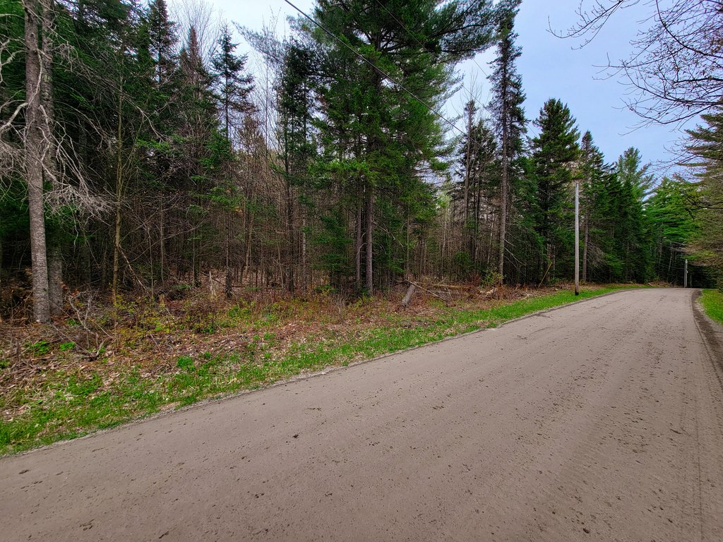 Picture 20