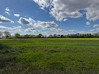 Picture 6