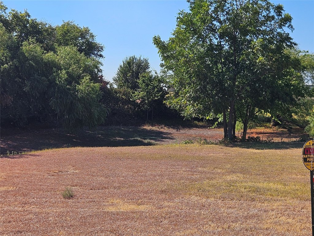 Picture 6