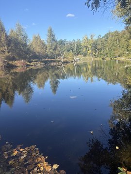 Land, Canadian Lakes, MI