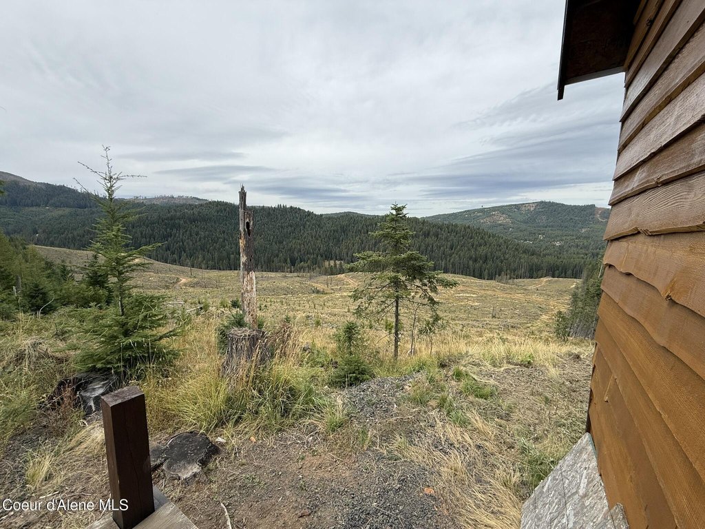 Picture 38