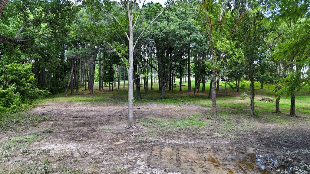 Picture 7