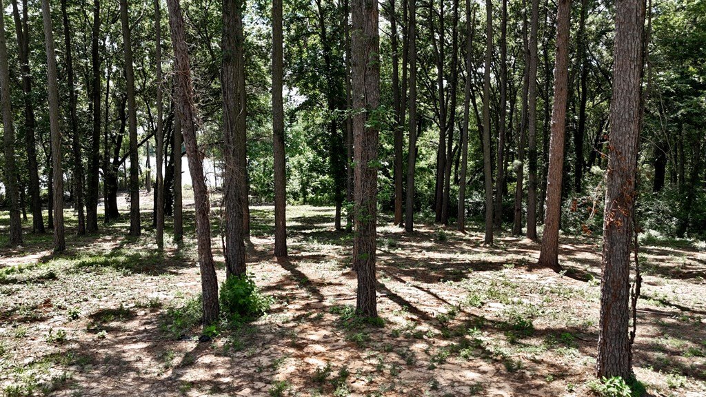 Picture 5