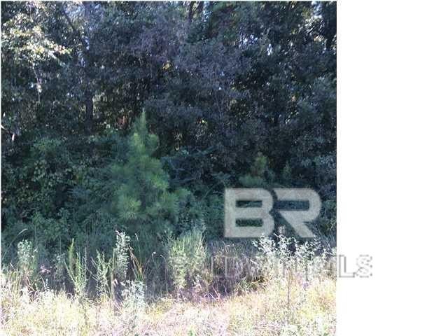 Commercial Land Near Family Dollar