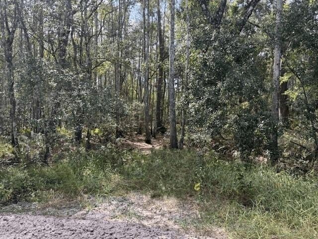 Rancho Bonito Land For Sale