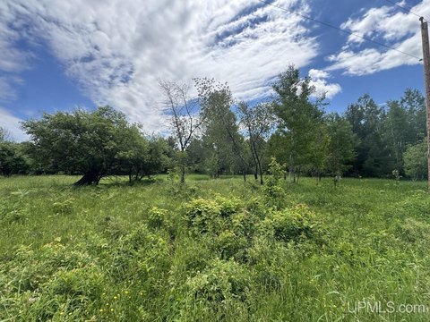 Wooded 10-Acre Parcel in Baraga