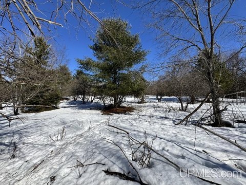 Wooded 10-Acre Parcel in Baraga
