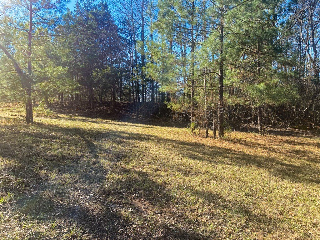Picture 10