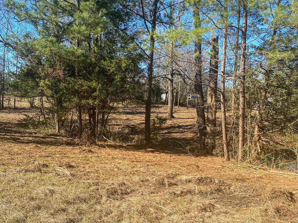 Picture 18