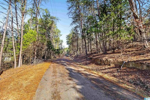 PINSON, AL Acreage For Sale