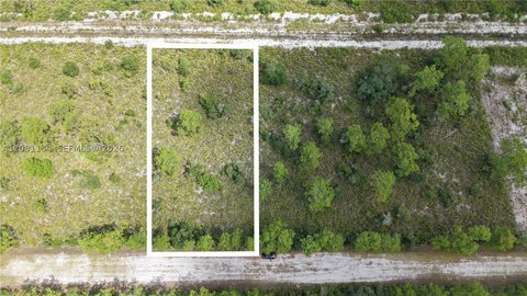 Land, FL