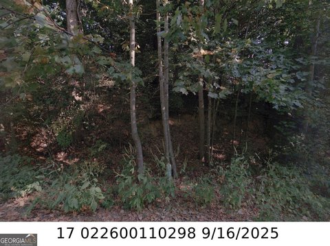 LAND - Atlanta, GA