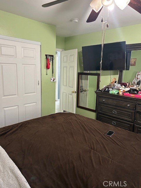 Picture 15